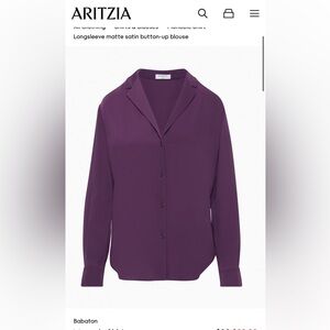 Aritzia Babaton Monocle button-up blouse